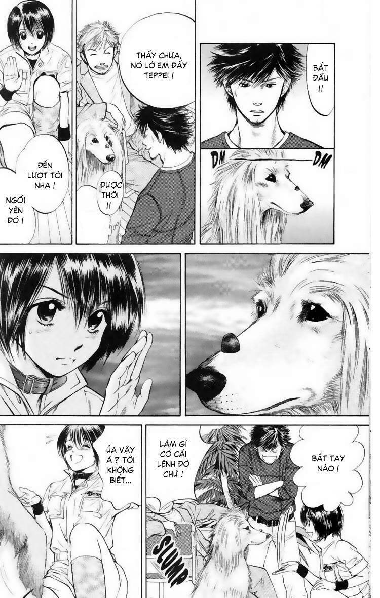 cô nàng yêu chó chapter 11 13