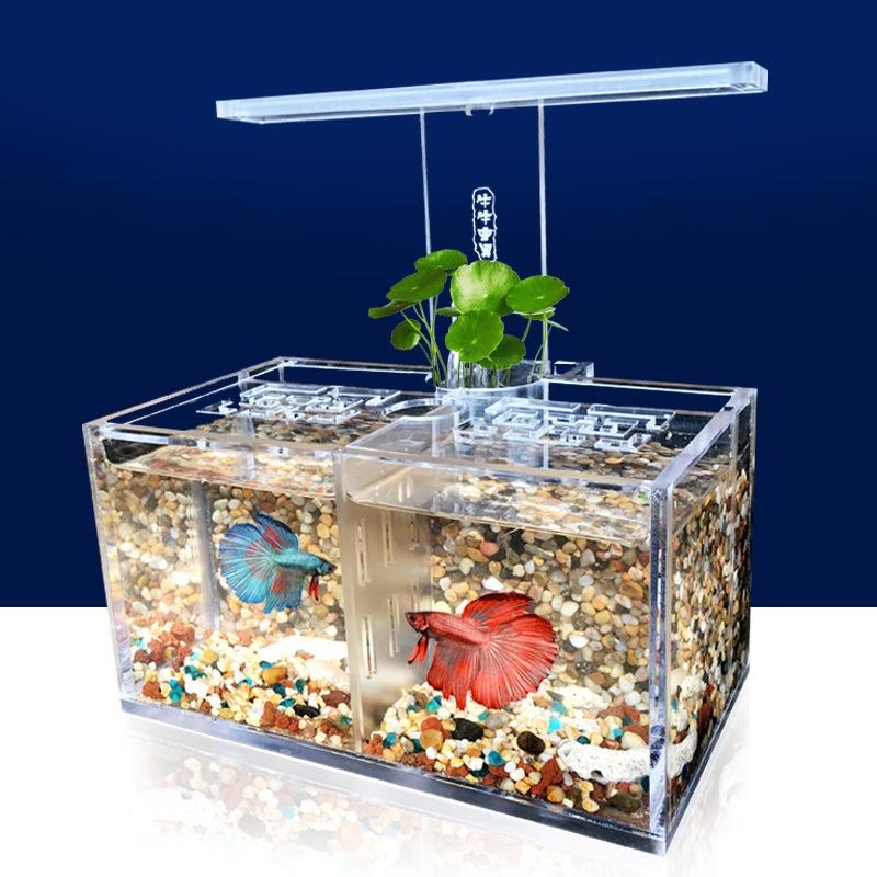 Đèn Bàn Bể Cá Xô Sáng Tạo Bể Cá Xô Acrylic Cách Ly Bể Cá Để Bàn Lọc Bể Cá Xả Oxy Không Thay Nước