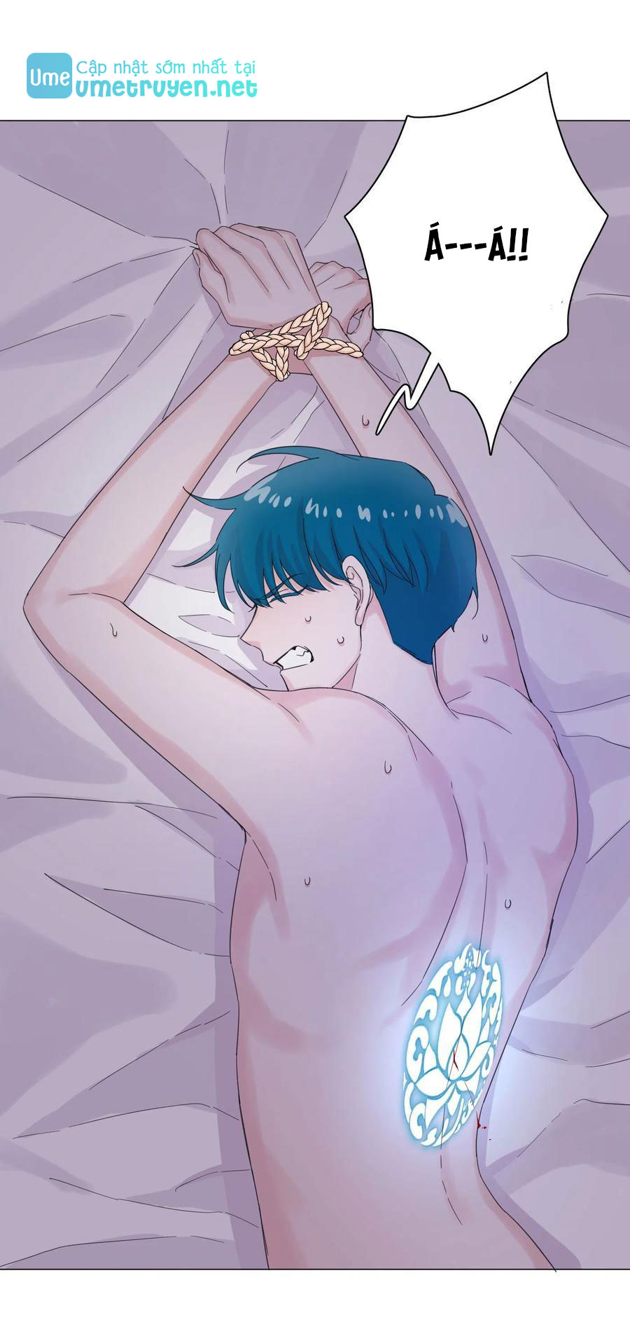 nhất hoàng cửu công thập nhị thê chapter 50 31