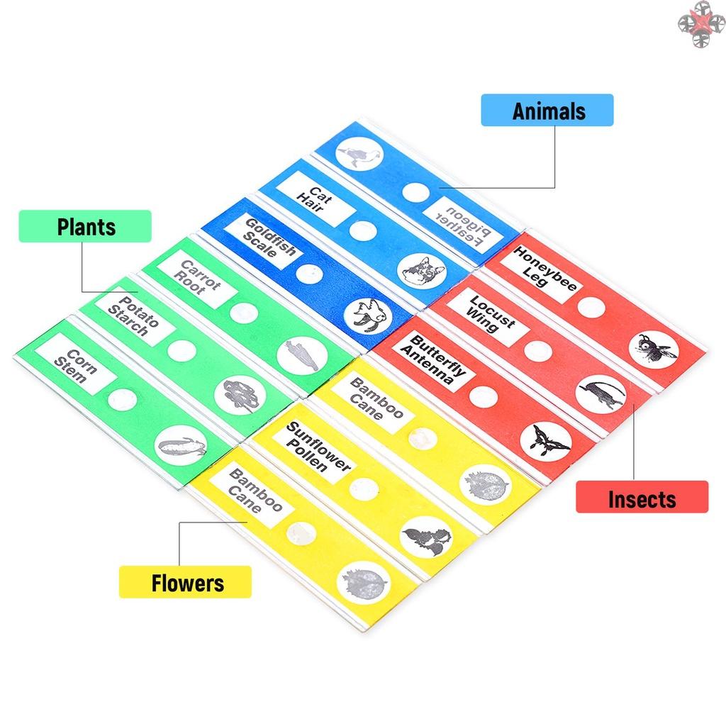 12Pcs Prepared Microscope Slides Specimen Animals Insects Plants Flowers Sample Biological Specimen