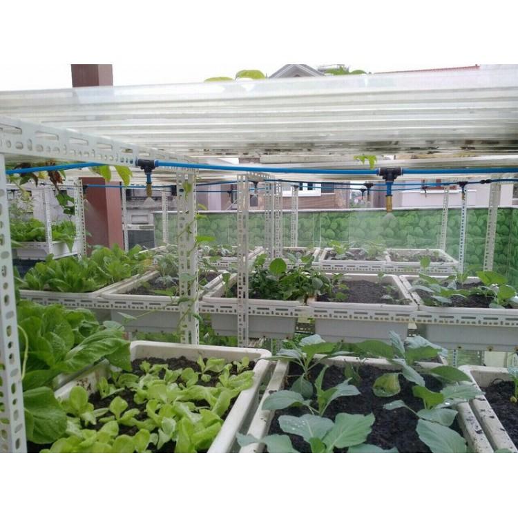 Bộ KIT Phun Sương Tưới Cây 20 Béc Bằng Đồng Tưới Lan, Cây Cảnh