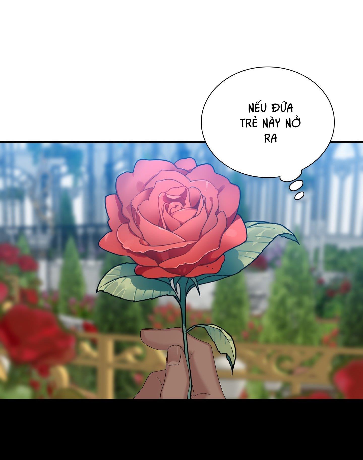 smyrna và capri chapter 42 15