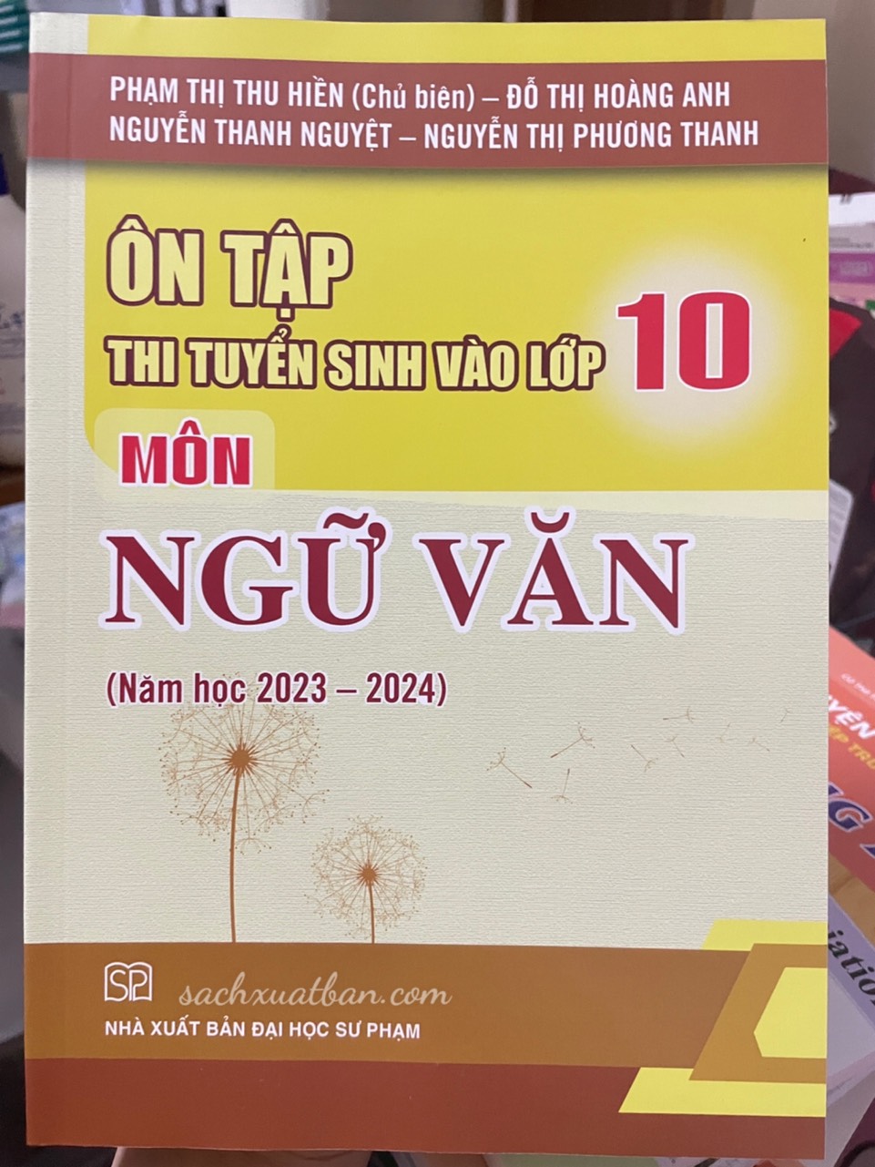 Sách Ôn tập thi tuyển sinh vào lớp 10 môn Ngữ Văn (Năm học 2023 - 2024)