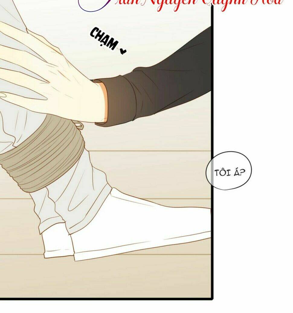 điều giáo quan hệ chapter 11 5