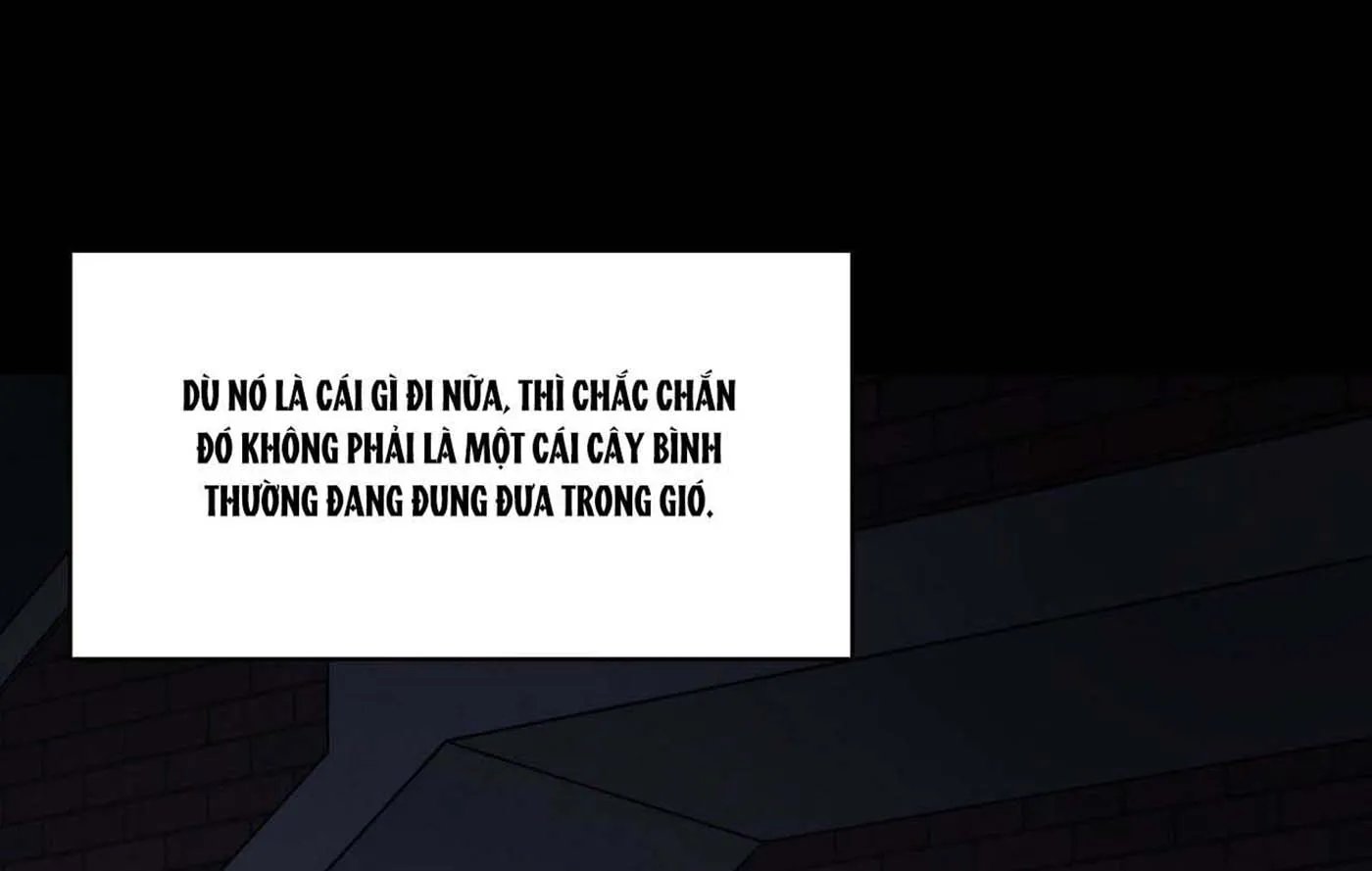 chuyện quái gì với giấc mơ đó vậy chapter 23 1