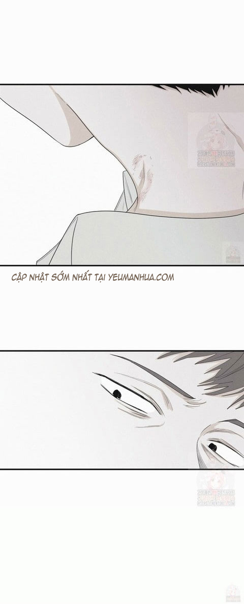 chiếu tướng chapter 20 38