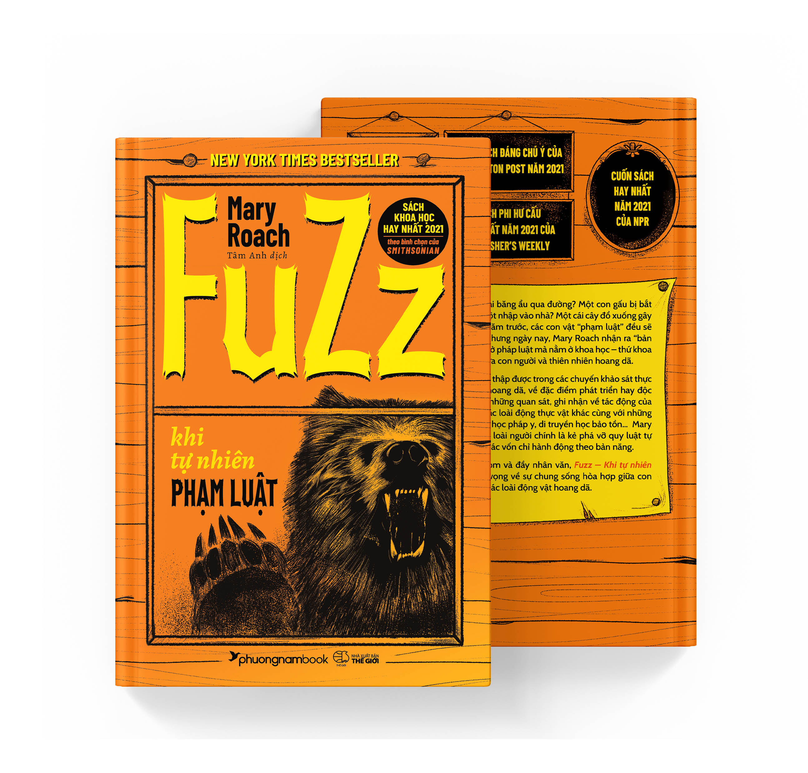 Fuzz: Khi tự nhiên phạm luật