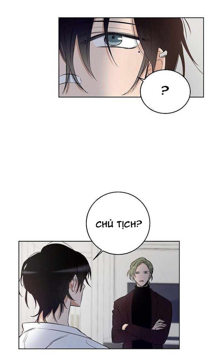 thành phố cạm bẫy chapter 10 13