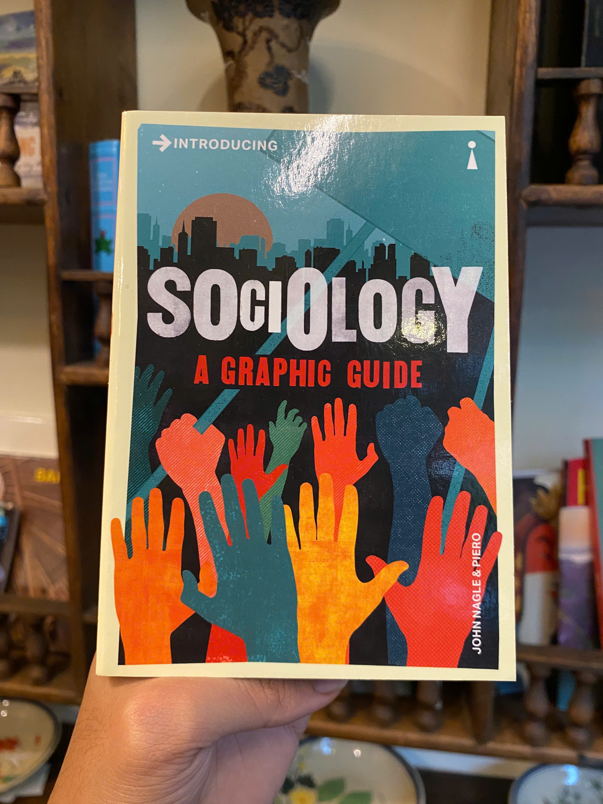 Sách - Introducing Sociology: A Graphic Guide (Graphic Guides) by John Nagle - Sociology/Nonfiction