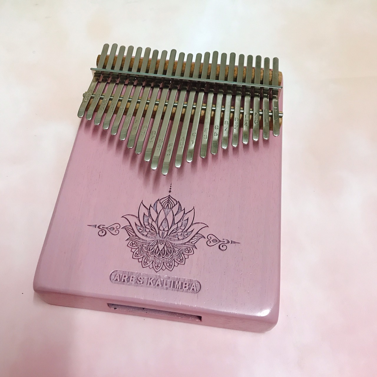 Combo Đàn Kalimba ARES A21PK 21 Phím, Hộp chống sốc K02