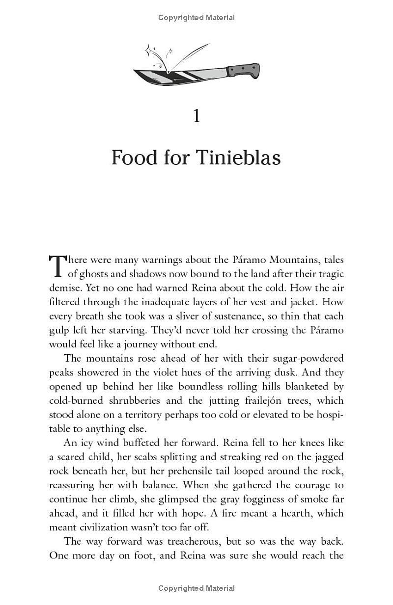 Sách ngoại văn: The Sun And The Void