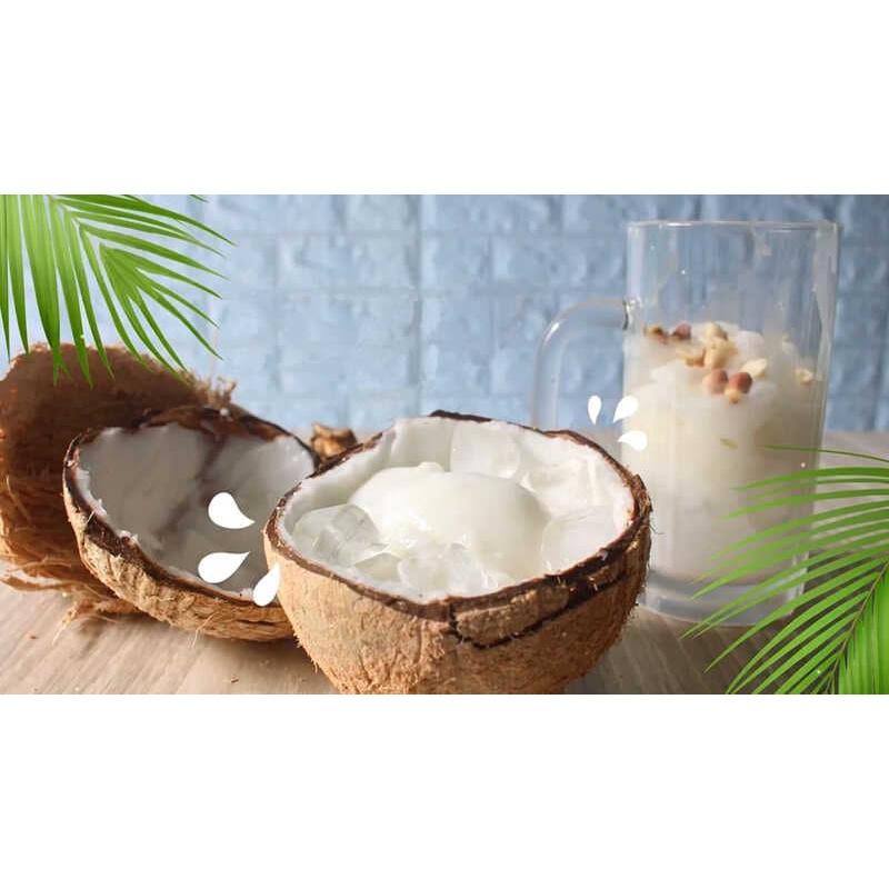 CÂY GIỐNG DỪA SÁP LÙN RẶC F1