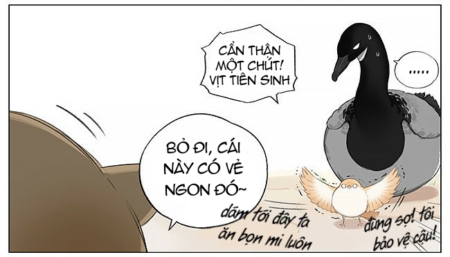 sẻ chiếu mới và nhạn phong sương chapter 4 8