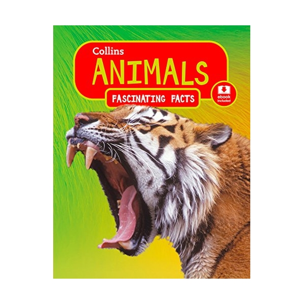 Animals: Fascinating Facts