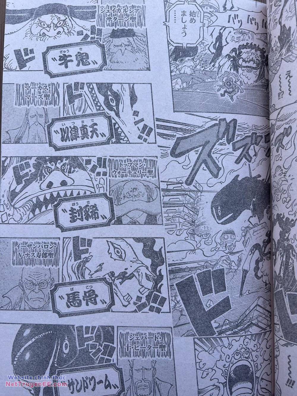 đảo hải tặc - one piece chapter 1110 6