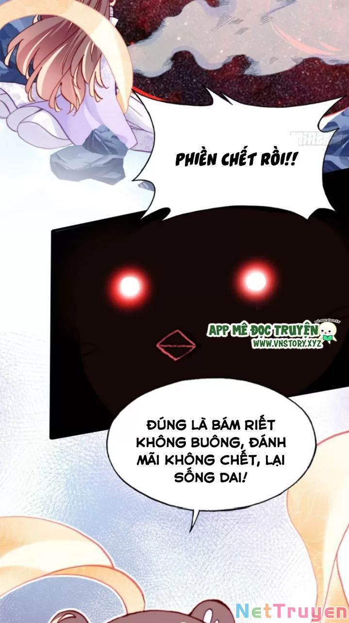lại bị bệnh chiều chuộng quấn lấy chapter 24 43