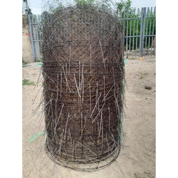Combo bội lưỡng kim úp cu gáy với 1 bộ giò cu gáy 10 chân đồng