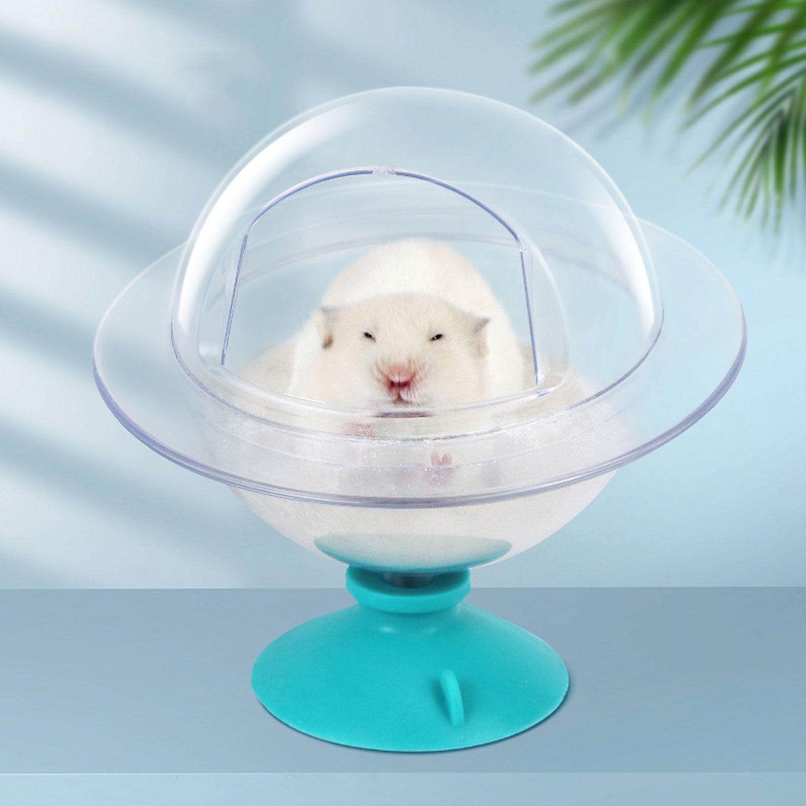 Hamster Sand Bath Clear Hamster Sand Container for Squirrels Ferret Hedgehog