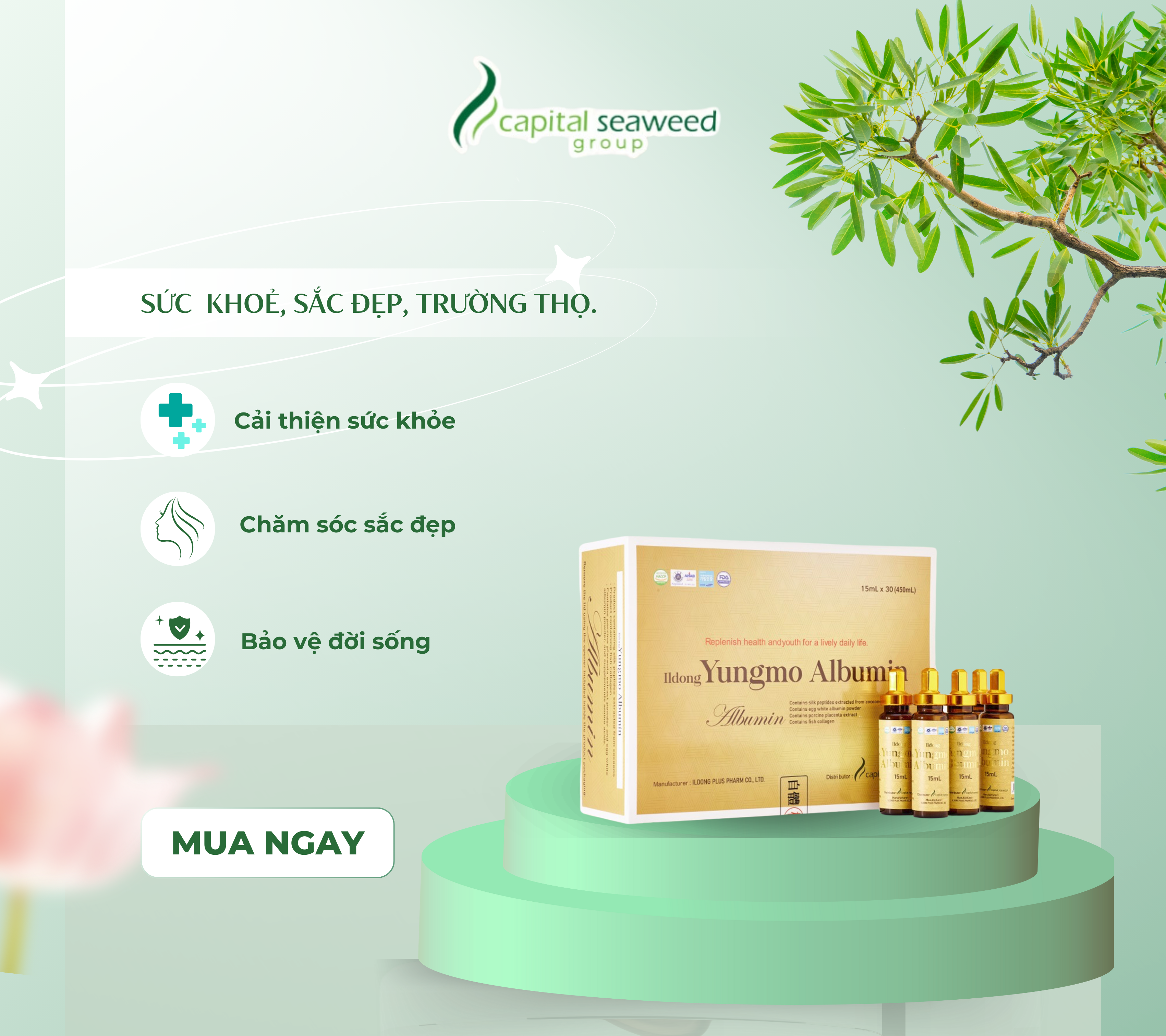 Hộp 15 chai ILDONG YUNGMO ALBUMIN 15ml - Tăng khả năng miễn dịch - Cải thiện chức năng gan