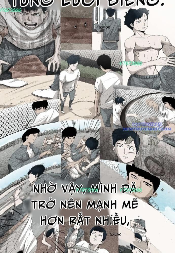 shark - cá mập chapter 273 9