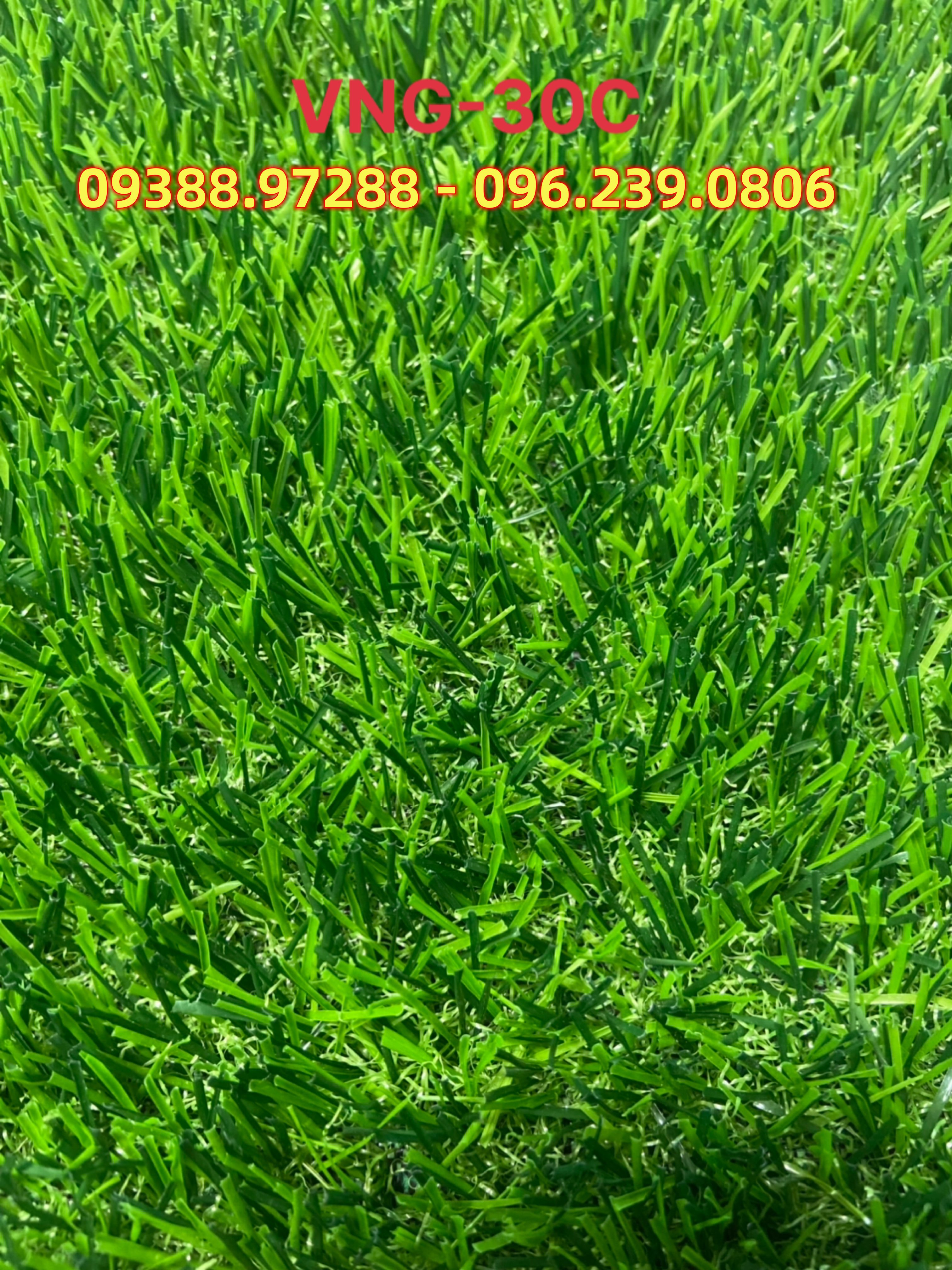 Thảm cỏ nhân tạo - tấm cỏ nhựa trải sàn - cỏ giả cao 3cm màu xanh sẫm, xanh tươi
