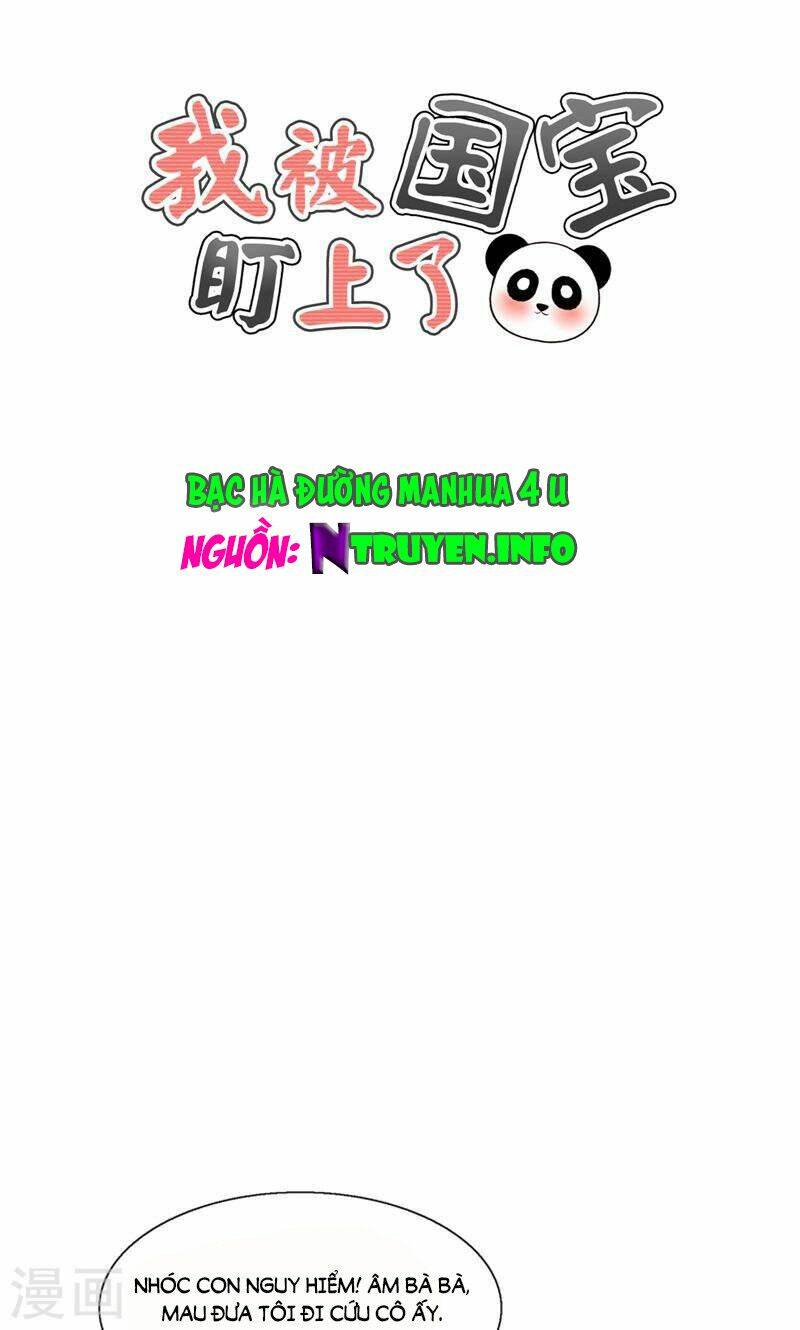 tôi bị gấu trúc nhìn trúng rồi chapter 25 1