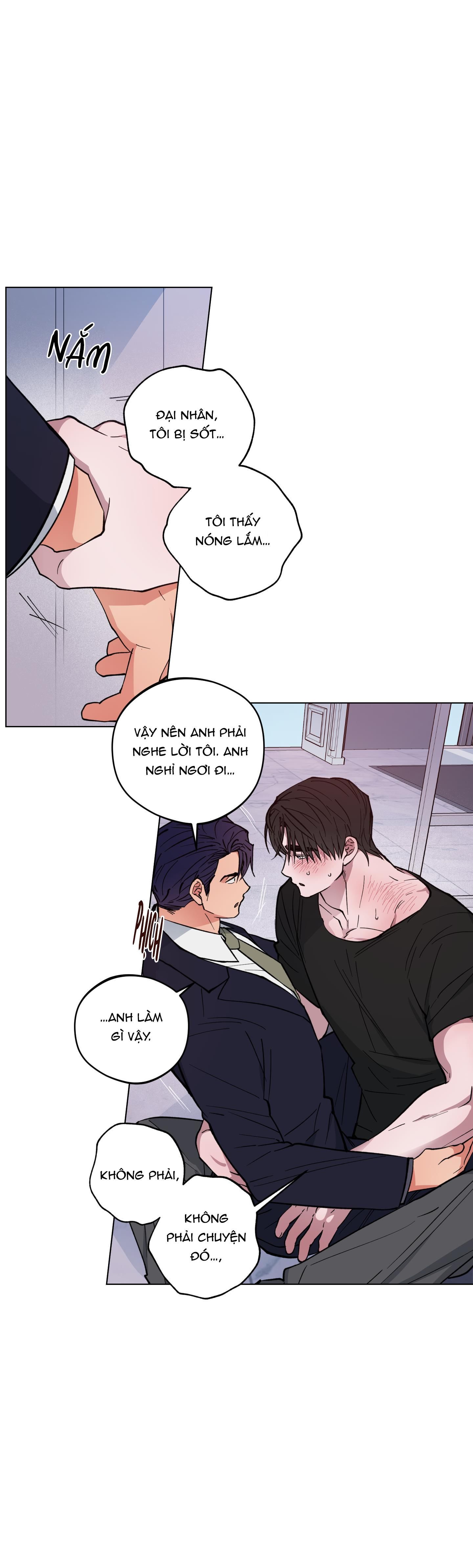 bình minh của rồng chapter 11 26