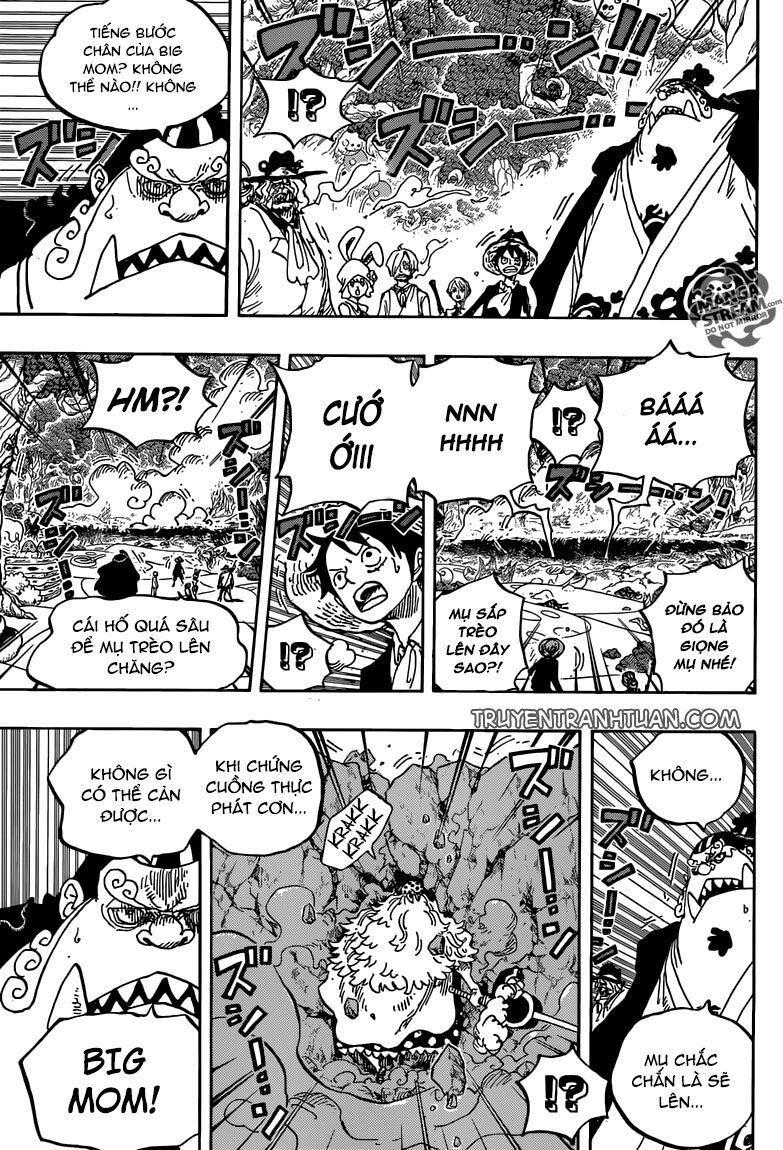 đảo hải tặc - one piece chapter 876 3