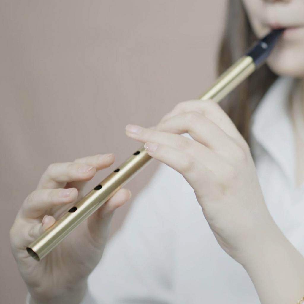 Triditional Irish Tin Whistle Flute 6 Hole Tin Penny Whistle High D Gold