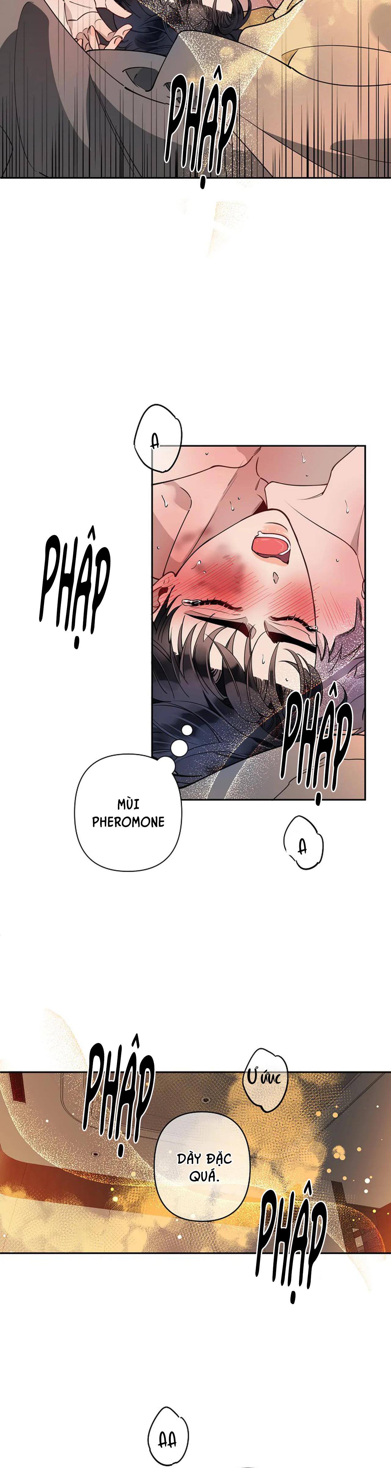 đêm dịu dàng chapter 14 14