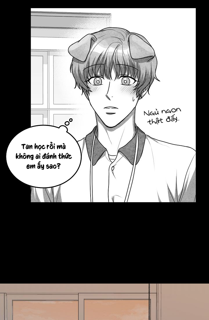 khi cún biết yêu chapter 12 5