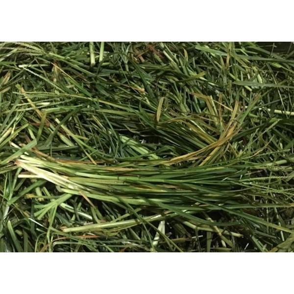 01KG Cỏ Mần Trầu Khô Loại 01