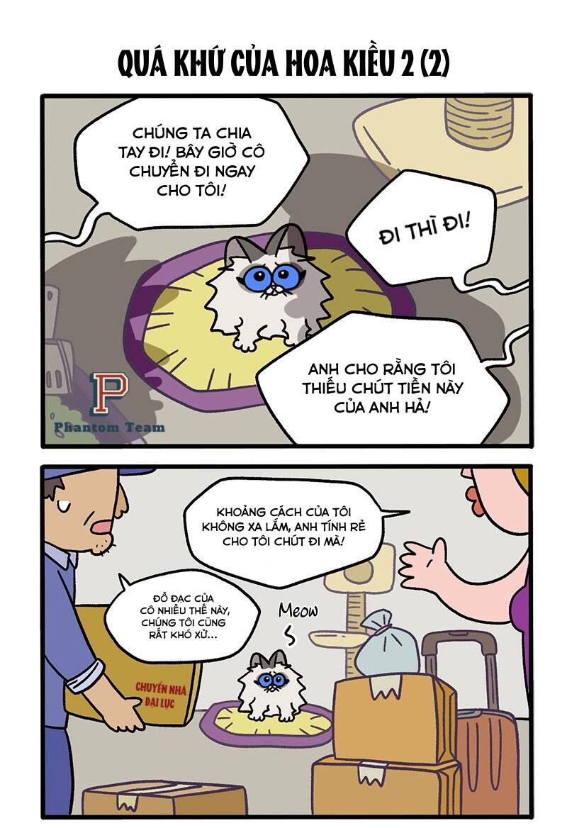 a mãn và mạch trà chapter 48 3