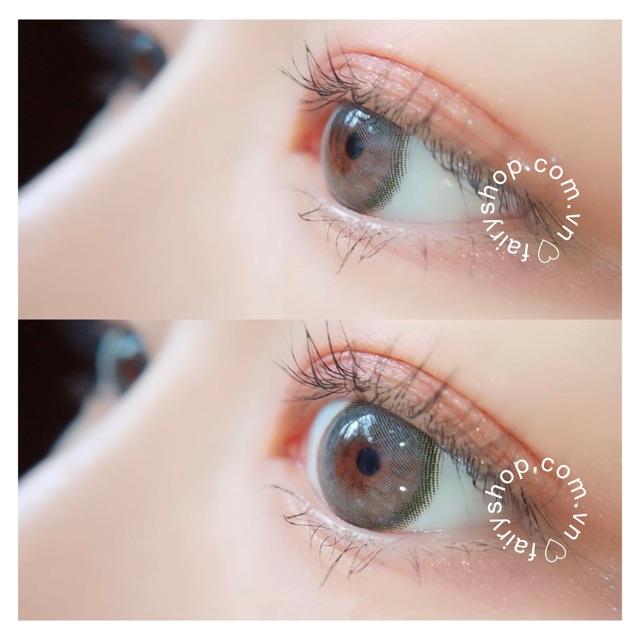 Kính Áp Tròng Cao Cấp Bassia Gray Lens 14.0mm - Kính Áp Tròng FAIRY SHOP CONTACT LENS độ 0 đến 6