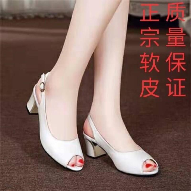 Giày big size 35-42 .hàng Quảng Châu