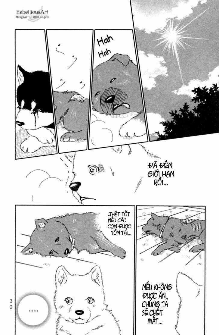 deep love - pao no monogatari chapter 1 33