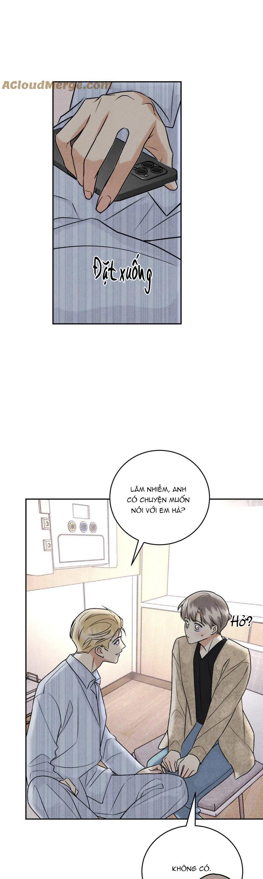 anh trai rẻ tiền của tôi chapter 65 3