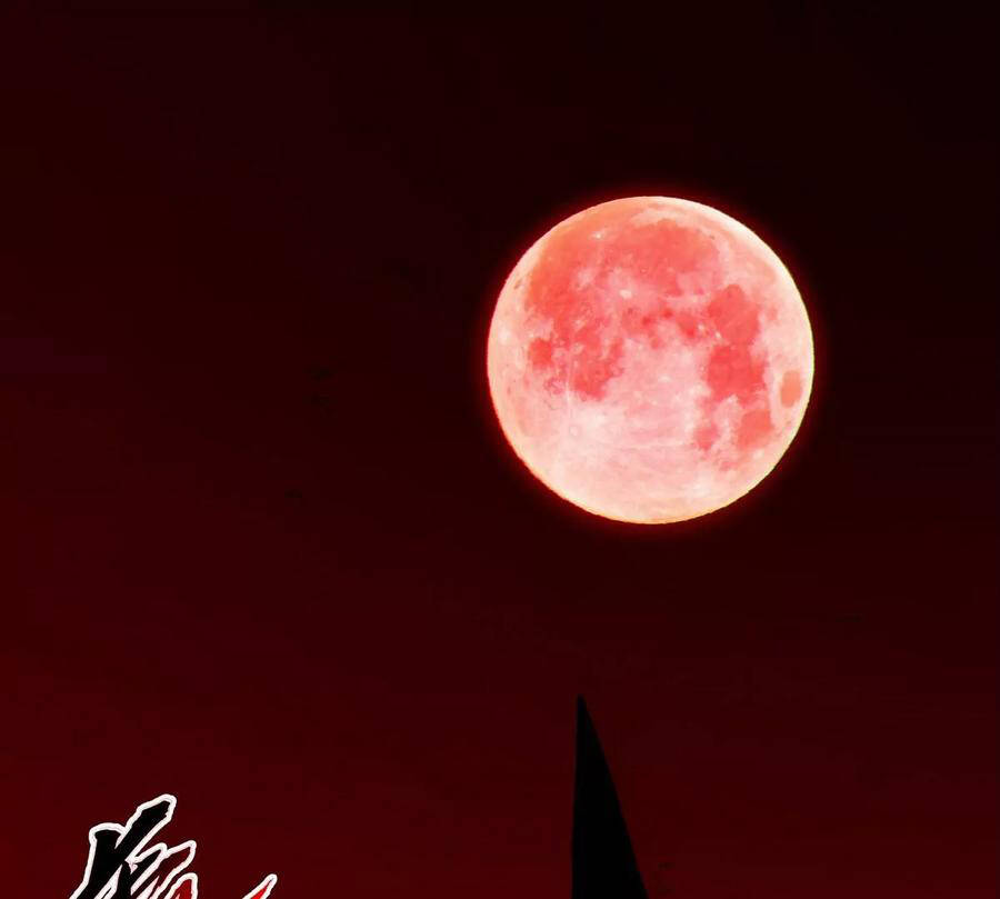 bản kiếm tiên tuyệt không làm nô chapter 63 24