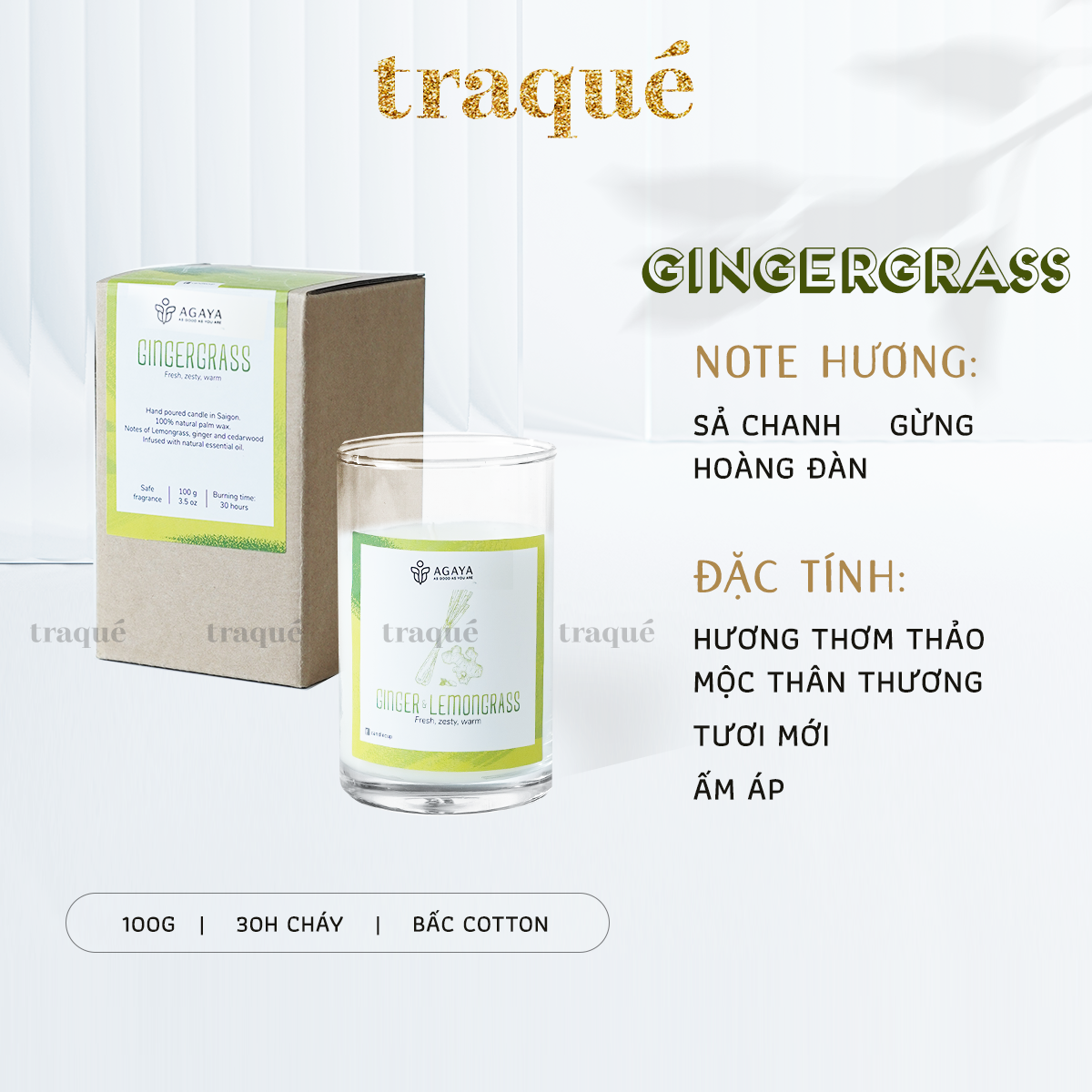 Nến thơm Candle Cup/Agaya - Hương Thảo Mộc GINGERGRASS