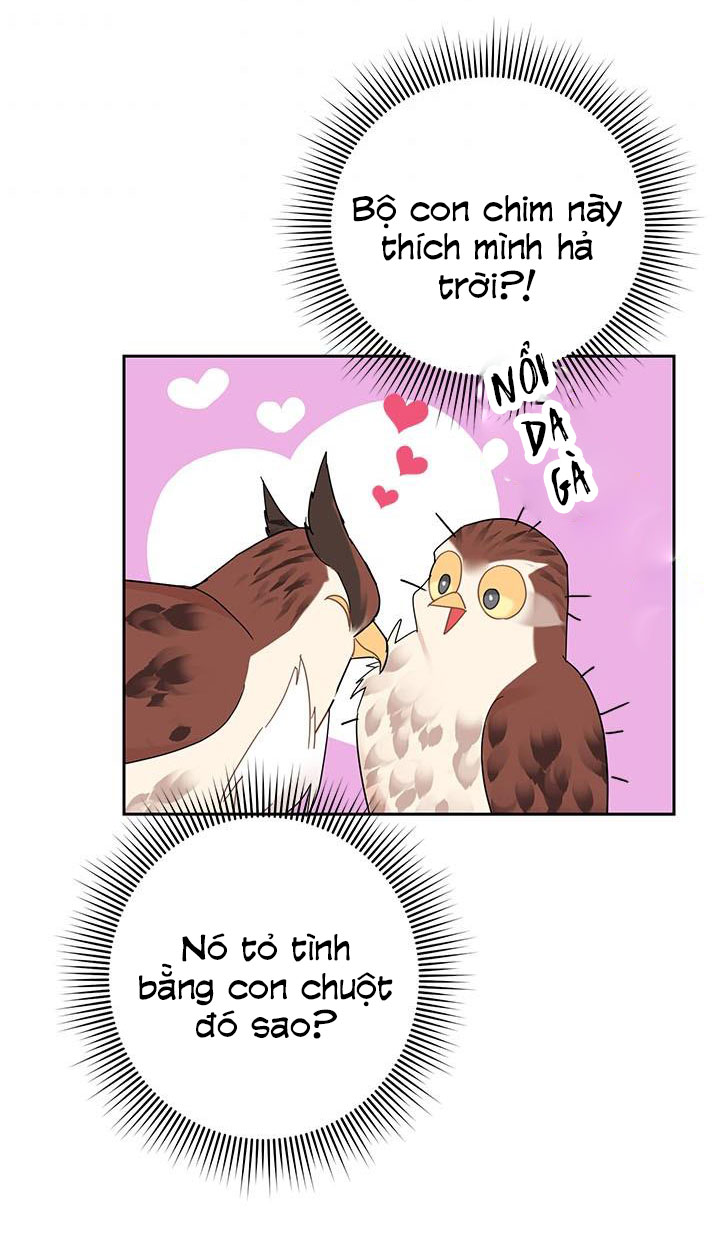 công chúa của loài chim chapter 25 4