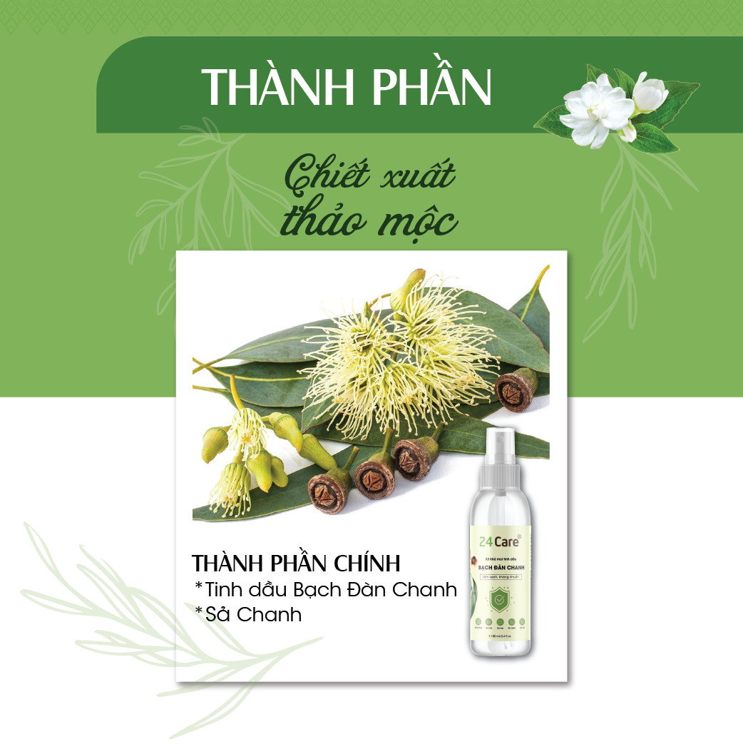 Xịt Phòng Tinh Dầu Bạch Đàn Chanh Hữu Cơ Organic 24Care 50ML/100ML - Kháng khuẩn - Khử mùi hôi - Đuổi muỗi, côn trùng - Hương thơm mạnh mẽ giúp tái tạo năng lượng nhanh, giảm stress hiệu quả