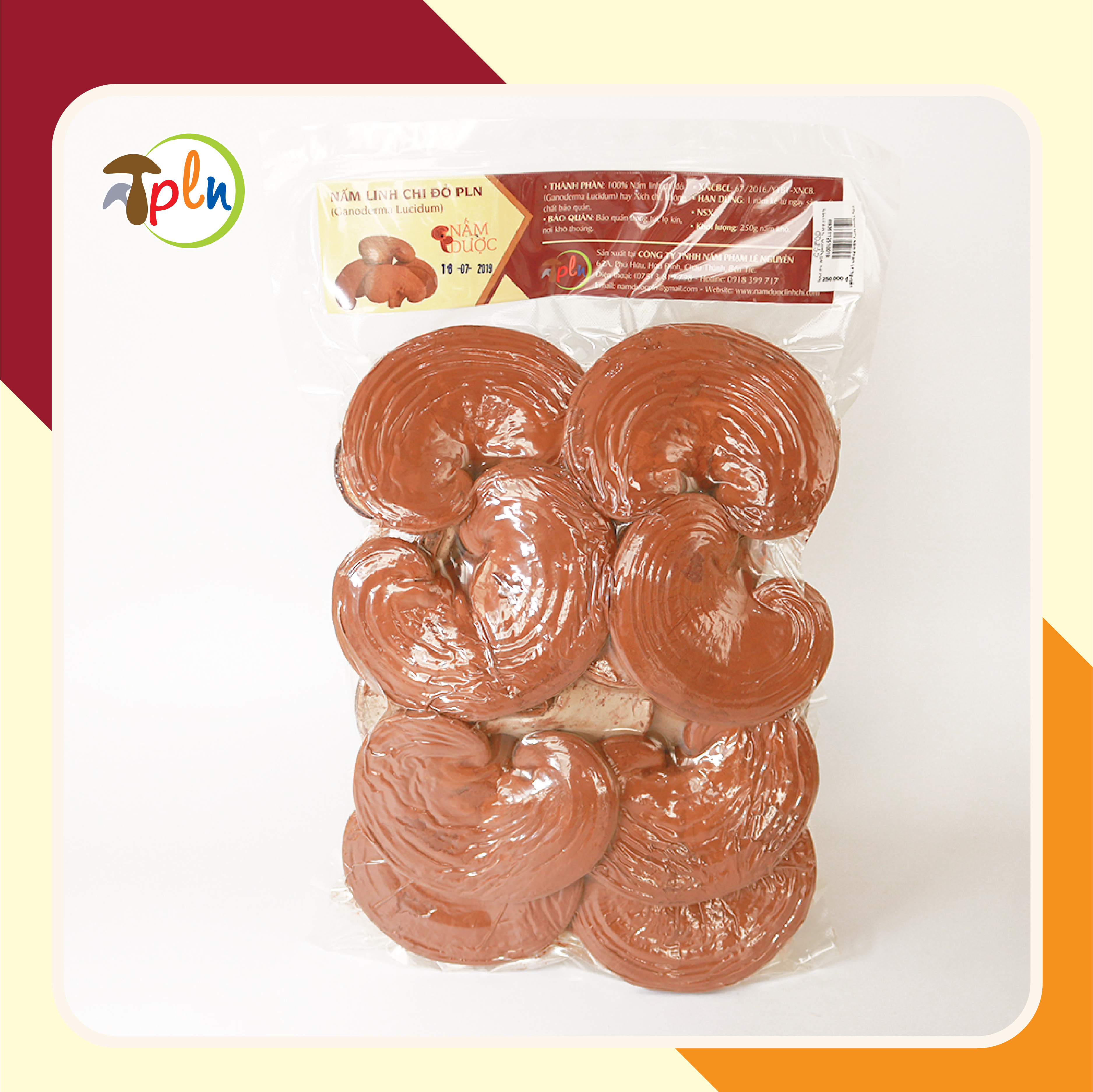 NẤM LINH CHI ĐỎ PLN - Nguyên tai. Túi 250g - Xích chi