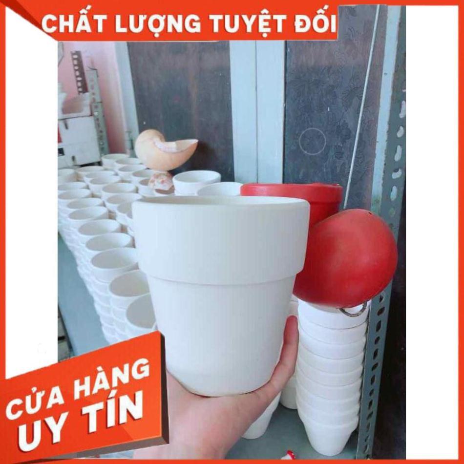 Chậu đất nung trồng cây Nhiều Người Mua