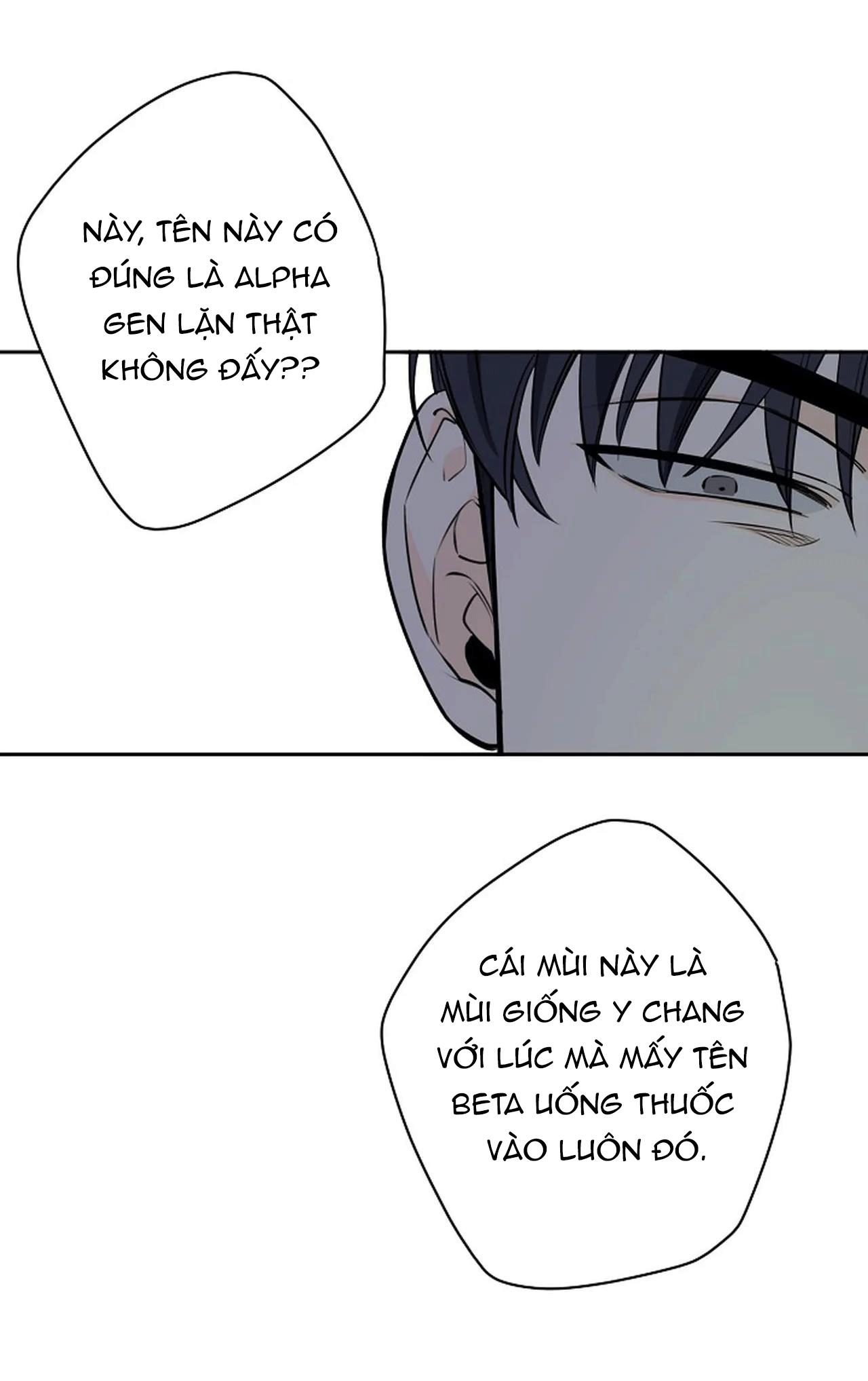 đêm dịu dàng chapter 36 36