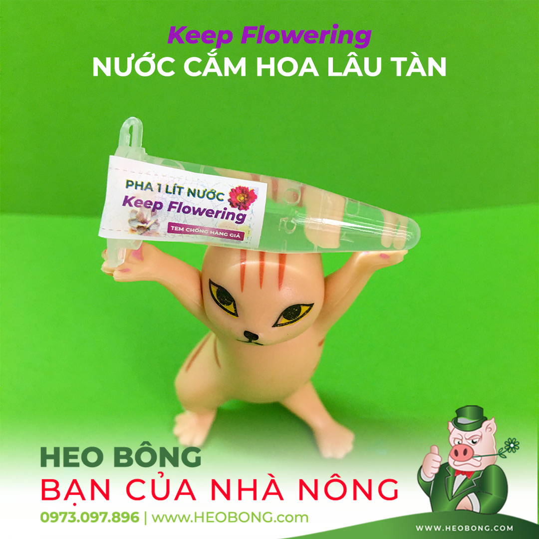 Nước Cắm Hoa Lâu Tàn Keep Flowering