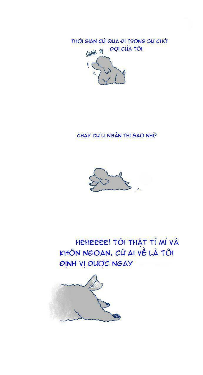 my young cat and my old dog chapter 3 11