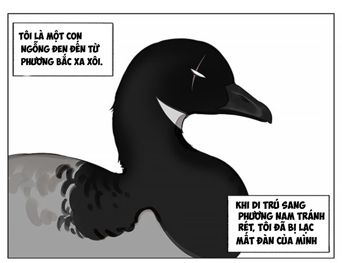 sẻ chiếu mới và nhạn phong sương chapter 1 2