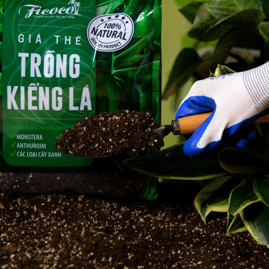 Đất trồng cây, giá thể trồng các cây kiểng lá, cây trong nhà, ngoài trời, Monstera, Anthurium, Bàng Singapore, túi 7 lít