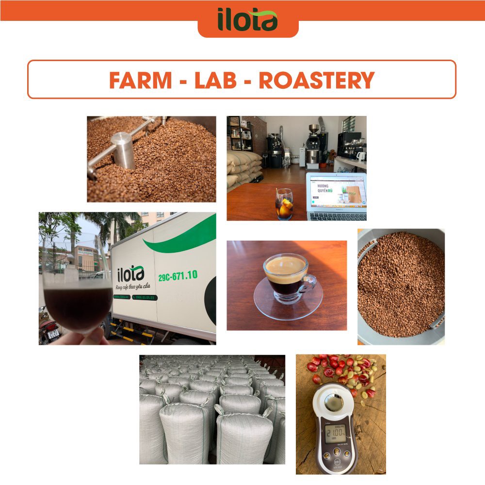 Cà phê rang xay nguyên chất (dạng xay sẵn) ILOTA 3 ĐẬM gói 500gr
