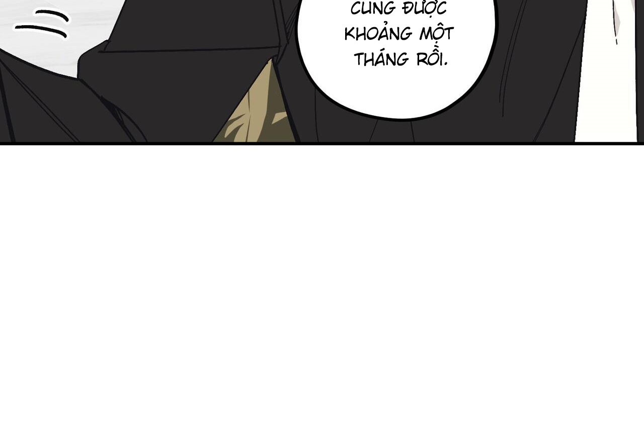 chàng dâu nhà họ kang chapter 32 141